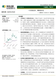 深度报告:一次设备龙头,兼具成长性