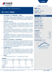 深度研究报告系列一：国产POCT领跑者