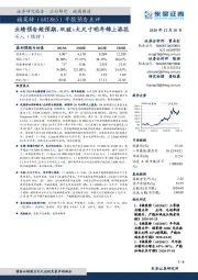 年报预告点评：业绩预告超预期，双玻+大尺寸明年锦上添花