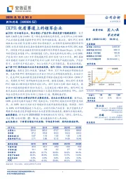 IXPE优质赛道上的领军企业