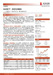 重大事项点评:龙头再扩产,支撑中长期增长