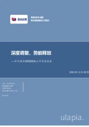 公司深度报告：深度调整，势能释放