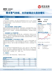 需求景气持续，光伏玻璃龙头强劲增长