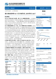 国内智能音频SoC芯片领导者，全面布局AIoT