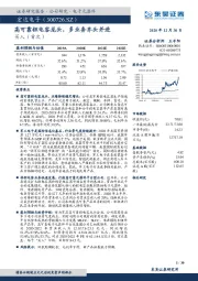 高可靠钽电容龙头，多业务齐头并进