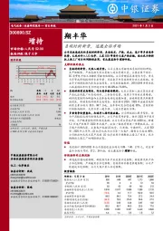 负极材料新贵，逐鹿全球市场