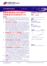 政策加码或带动下游大幅扩产 布局新技术公司成长动力十足