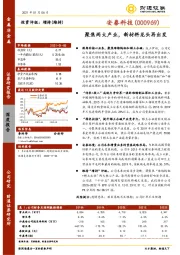 聚焦两大产业，新材料龙头再出发