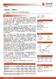 投资价值分析报告：王者归来，价值复兴