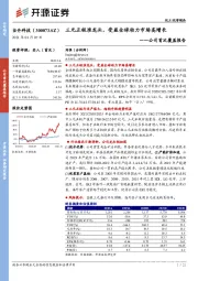 公司首次覆盖报告：三元正极准龙头，受益全球动力市场高增长