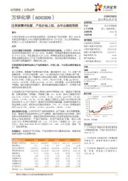 四季度需求恢复、产品价格上涨， 全年业绩超预期