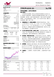 四季度业绩翻倍，全球龙头持续成长