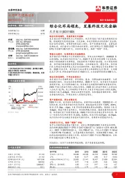 综合化布局领先，发展科技文化金融