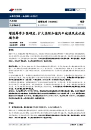 重大事件快评:增股筹资加强研发,扩大高附加值汽车玻璃及光伏玻璃市场
