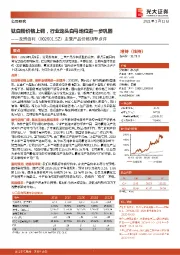 主营产品价格调整点评:钛白粉价格上调,行业龙头白马地位进一步巩固