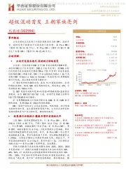超级混动首发 王朝家族亮剑