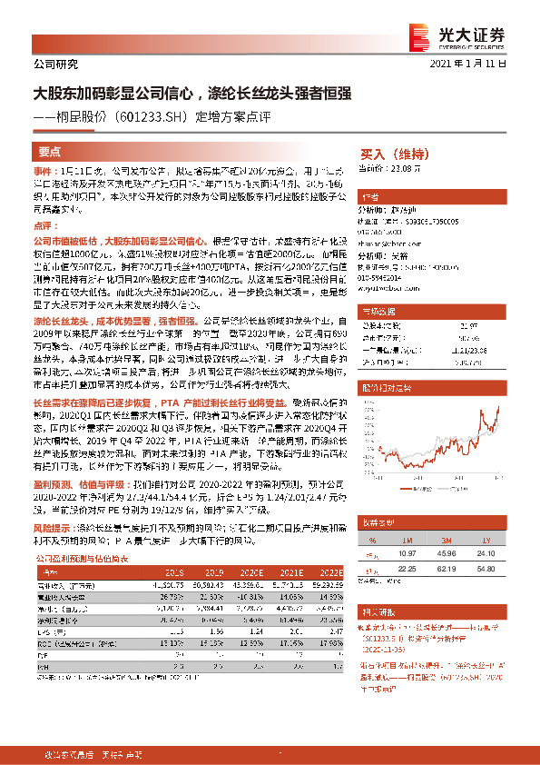 定增方案点评：大股东加码彰显公司信心，涤纶长丝龙头强者恒强