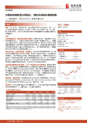 定增方案点评:大股东加码彰显公司信心,涤纶长丝龙头强者恒强