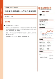 内容奠定业绩增长,小芒助力未来发展