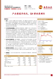 产品渠道齐优化，Q4营收高增长