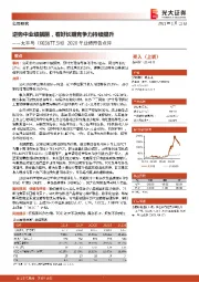 2020年业绩预告点评：逆势中业绩靓丽，看好长期竞争力持续提升