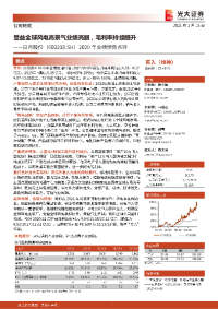 2020年业绩预告点评:受益全球风电高景气业绩亮眼,毛利率持续提升