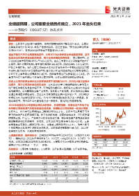 动态点评:业绩超预期,公司重要业绩拐点确立,2021年龙头归来