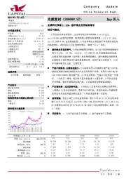 业绩同比预增21~26%，碳纤维业务持续高增长