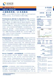 业绩稳超预期，Q4再度提速