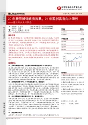 博汇纸业点评报告:20年费用摊销略有拖累,21年盈利具有向上弹性