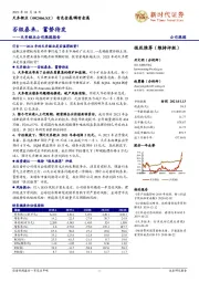 天齐锂业公司跟踪报告:否极泰来,蓄势待发