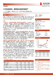 2020年度业绩预告点评：20年业绩承压，期待炼化项目年底投产