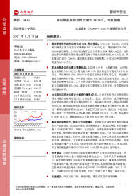 2020年业绩预告点评:第四季度净利润同比增长38-71%,符合预期