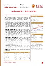 业绩小幅增长，未来发展可期