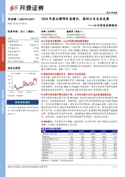 公司信息更新报告：2020年度业绩预告高增长，看好公司未来发展