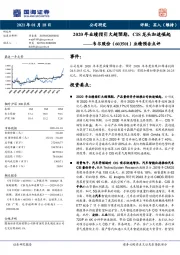 业绩预告点评：2020年业绩指引大超预期，CIS龙头加速崛起