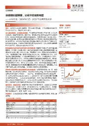 2020年业绩预告点评:业绩增长超预期,公司卡位优势明显