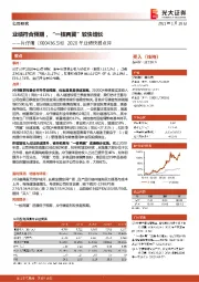 2020年业绩快报点评：业绩符合预期，“一核两翼”较快增长