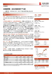 2020年度业绩预增公告点评:业绩超预期,龙头持续加码扩产力度