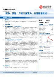 新品、渠道、产能三重蓄力,打造新增长点