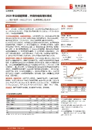 业绩预增公告点评：2020年业绩超预期，开启持续高增长模式