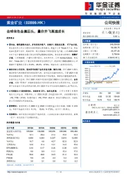 全球有色金属巨头，量价齐飞高速成长