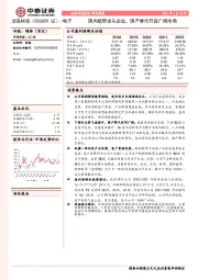 国内载带龙头企业，国产替代开启广阔市场