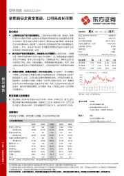 聚焦新安全黄金赛道，公司高成长可期