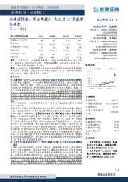 业绩超预期，市占率提升+大尺寸21年高增长确定