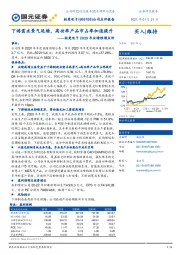 柏楚电子2020年业绩预增点评:下游需求景气延续,高功率产品市占率加速提升