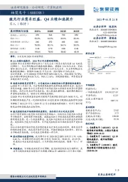 激光行业需求旺盛，Q4业绩加速提升