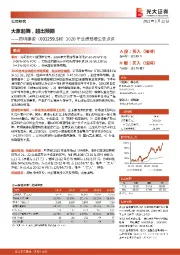 2020年业绩预增公告点评：大象起舞，超出预期