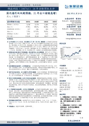 20年业绩预告点评:国内海外双双超预期,21年出口持续高增!