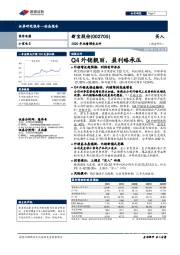 2020年业绩预告点评：Q4外销靓丽，盈利略承压